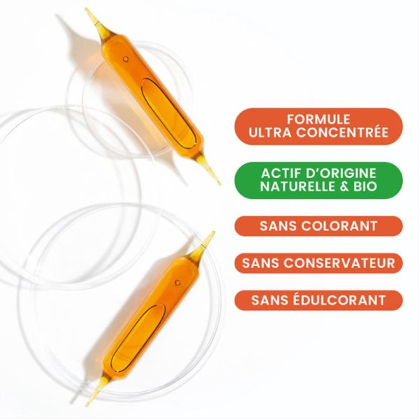 Santarome Ruche Royale Gelée Royale 4000mg Bio 10 Ampoules – Immunité et vitalité