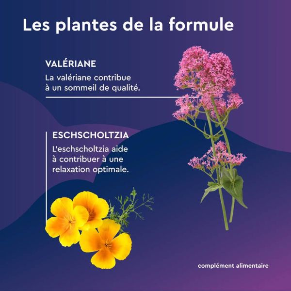EuphytoseNuit Relaxation Endormissement Rapide - 15 comprimés