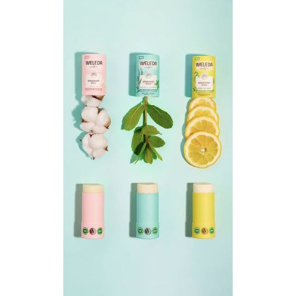 Weleda Déodorant Stick Sensitive 50g – Protection douce peaux sensibles