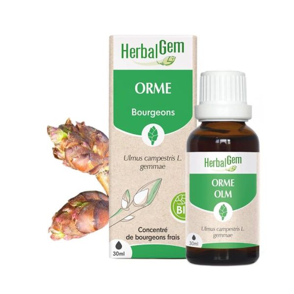 Herbalgem Concentré de Bourgeon d'Orme Bio - 30ml