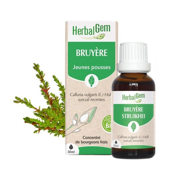 HerbalGem Concentré de Bourgeon Bruyère Bio - 30ml