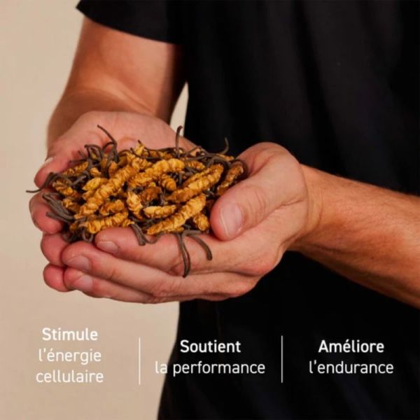 French Mush Gélules Cordyceps 168 gélules - Energie, endurance et vitalité naturelle
