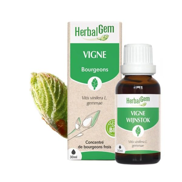 Herbalgem Concentré de Bourgeon de Vigne Bio - 30ml