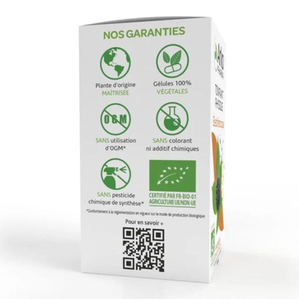 Arkopharma Arkogélules Éleuthérocoque Bio 40 gélules - Tonifiant physique