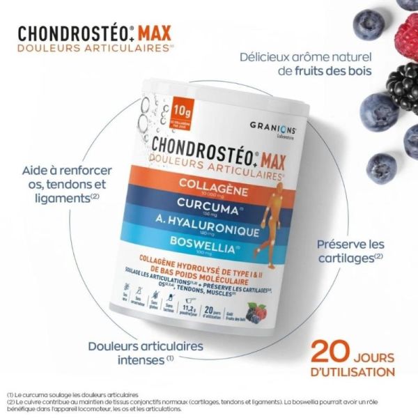 Granions Chondrostéo Max Collagène Poudre 225 g – Confort articulaire au quotidien