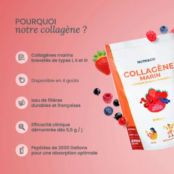 Nutri&Co Collagène Marin Fruits Rouges 540g – Fermeté de la peau et confort articulaire