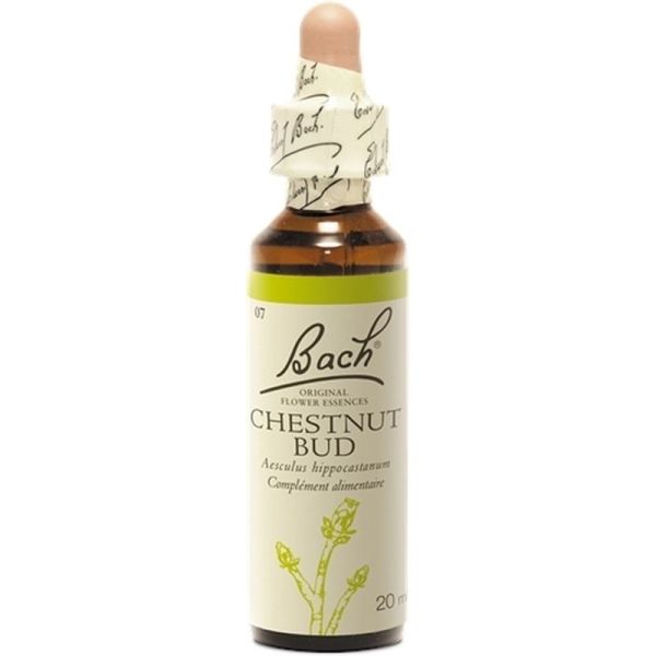 Fleurs de Bach Chestnut Bud 20ml – Apprendre de ses erreurs
