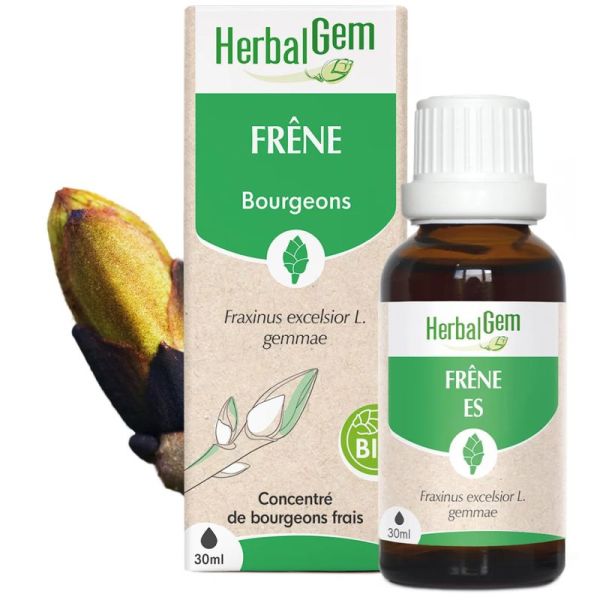 HerbalGem Frêne Bio 30ml – Souplesse articulaire et élimination