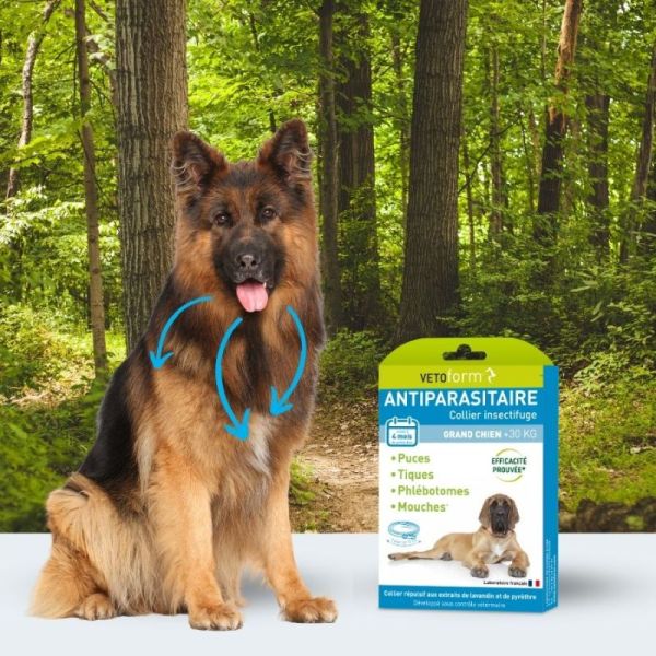Vetoform Collier Insectifuge Antiparasitaire 65 cm - protection naturelle puces, tiques et moustiques 3 mois pour grand chien