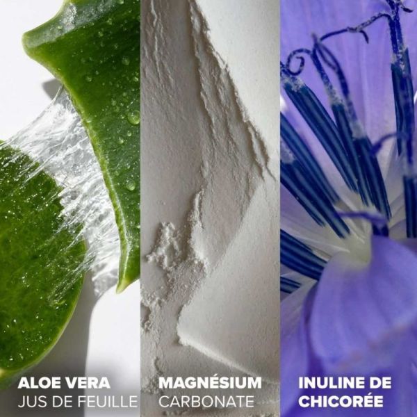 Arkopharma Arkodigest Expert Constipation Occasionnelle 10 sachets - Régularité du transit intestinal