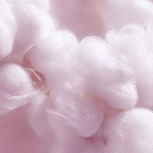 Musc Intime Musc Blanc Déodorant Solide Parfumé 50g – Fraîcheur et protection
