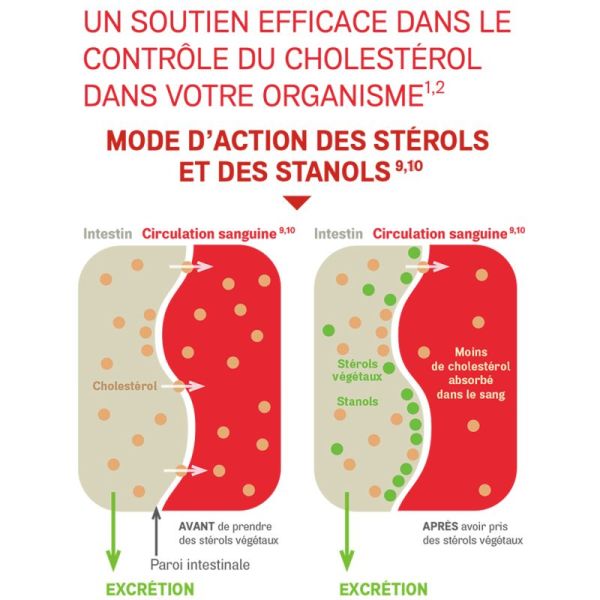 Arterin Cholestérol - 90 Comprimés - Contribue à réduire et contrôler le cholestérol sanguin