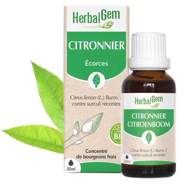 HerbalGem Citronnier Bio 30ml – Circulation et jambes légères