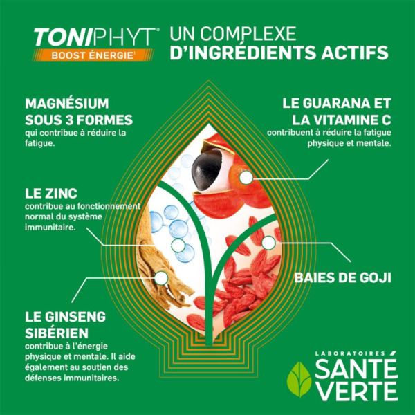 Santé Verte Toniphyt Boost Énergie 30 comprimés + 15 OFFERTS – Énergie et vitalité