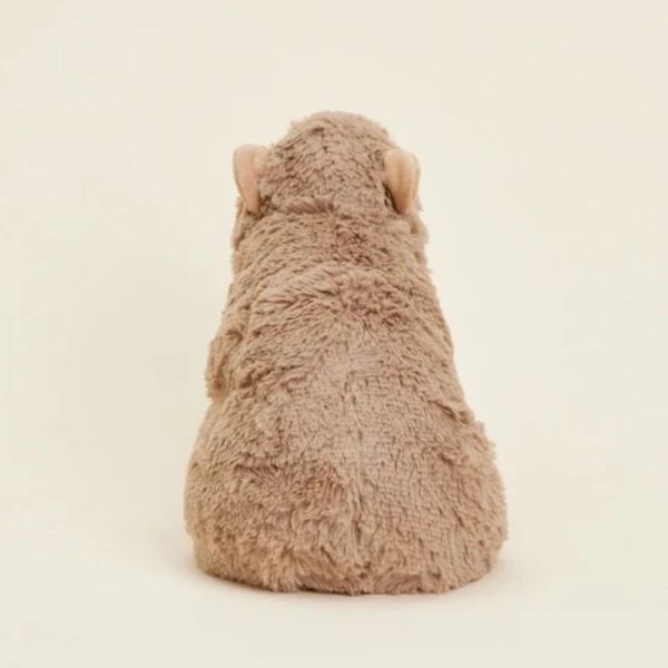 Soframar Warmies Bouillotte Peluche Déhoussable Capybara 30 cm - Chaleur réconfortante et apaisante