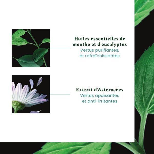 René Furterer Astera Fresh Shampoing Apaisant Fraîcheur - Pour Cuir Chevelu Irrité - 50 ml