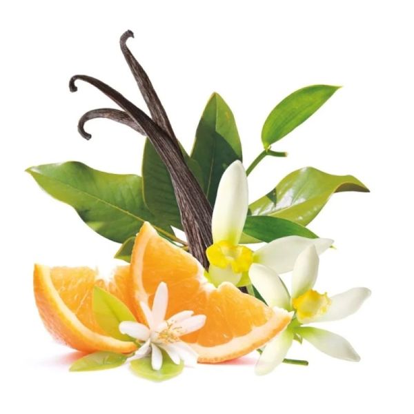 Pranarôm Aromaforce Gel Hydro Alcoolique Junior - 50ml - Mandarine Vanille - Nettoie, purifie et protège