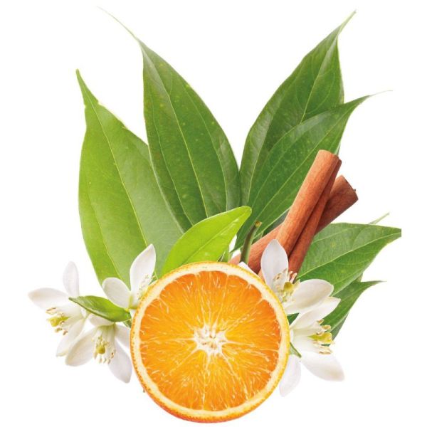 Pranarôm Aromaforce Gel Hydro Alcoolique Junior - 50ml - Orange Douce Cannelle - Nettoie, purifie et protège