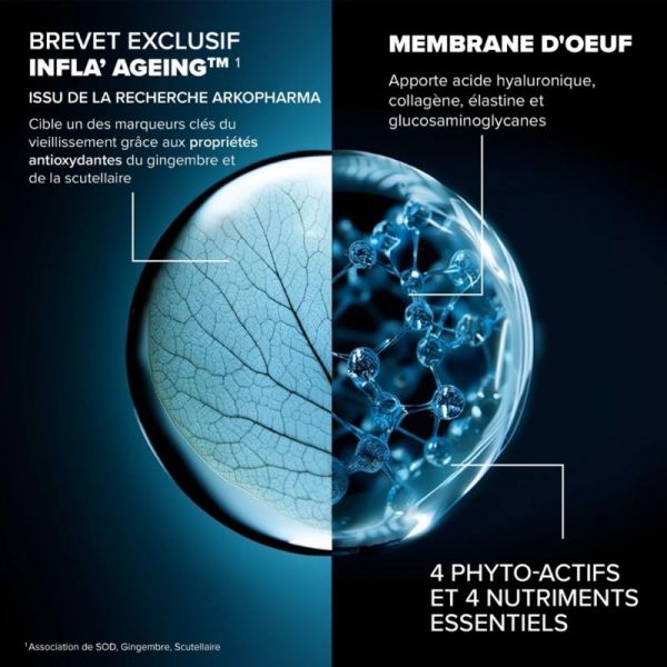 Arkopharma Santé Longévité Capital Articulaire 60 gélules - Préserve le capital musculaire et articulaire
