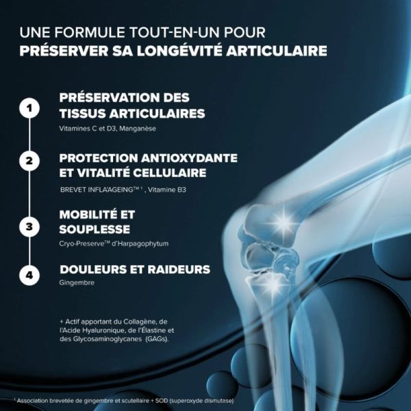 Arkopharma Santé Longévité Capital Articulaire 60 gélules - Préserve le capital musculaire et articulaire