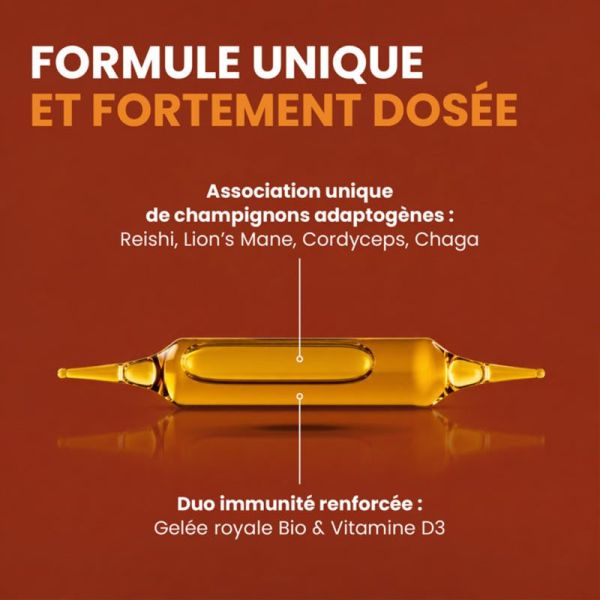 Santarome Reishi Lion's Mane Chaga Cordyceps Bio 10 Ampoules – Immunité et vitalité