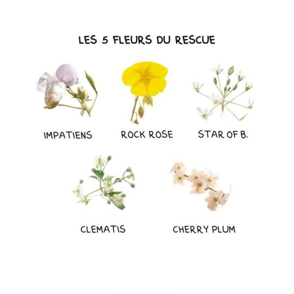 Fleurs de Bach Rescue Original Spray Concentré de Sérénité Sans Alcool 20ml – Apaisement immédiat