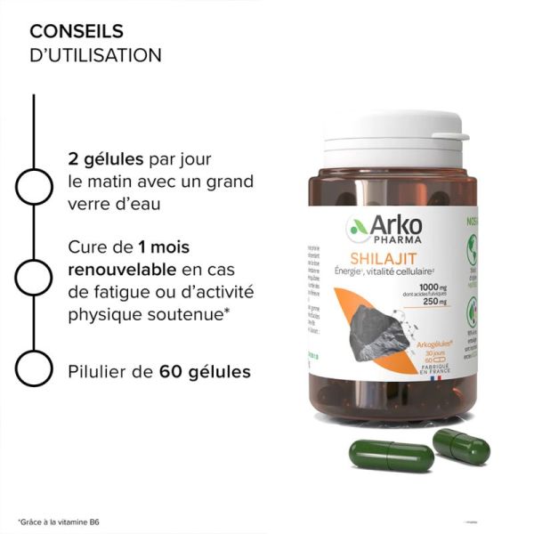 Arkopharma Arkogélules Shilajit 60 Gélules – Énergie et vitalité cellulaire
