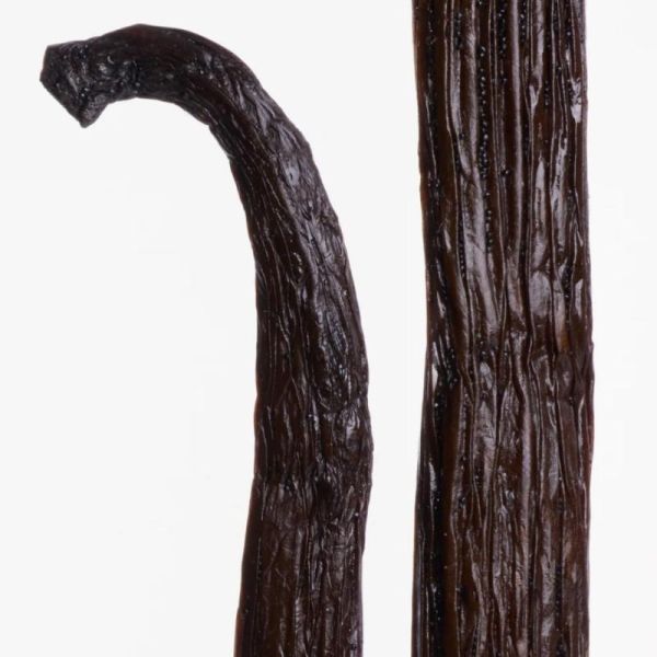 Respire Déodorant Stick Vanille Tonka 50g - Efficacité 48h naturelle et emballage zéro plastique