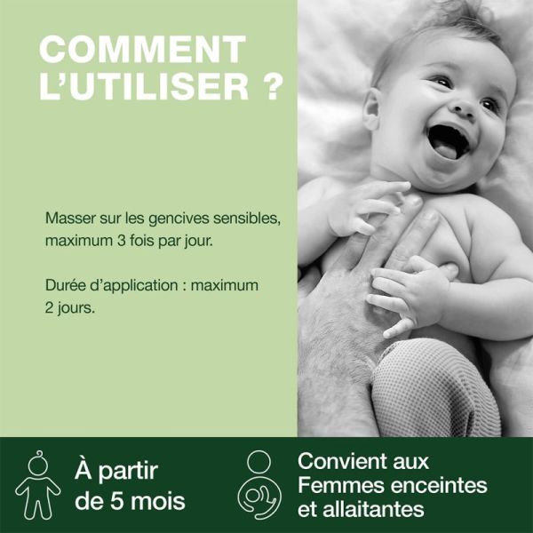 Pranarôm PranaBB Gel Gingival Poussées Dentaires Bio 15g – Apaisement et confort