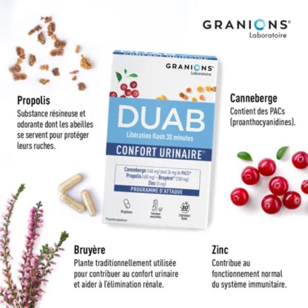 Granions Duab Confort Urinaire 20 gélules – Triple action Canneberge, Propolis et Zinc