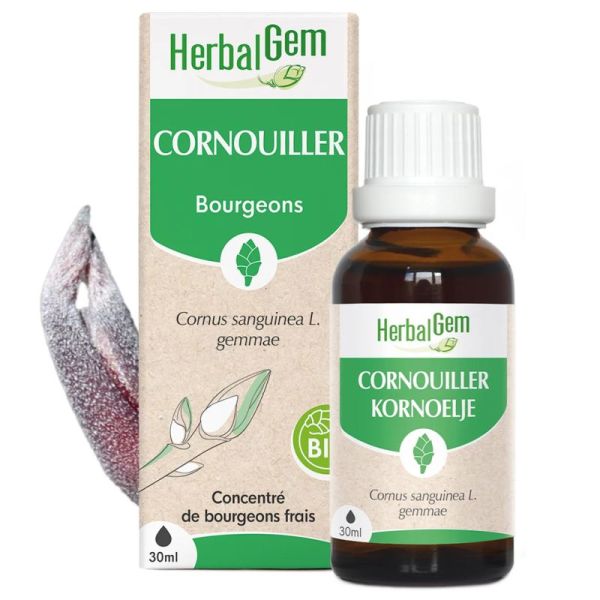 HerbalGem Cornouiller Bio 30ml – Circulation et soutien cardiaque