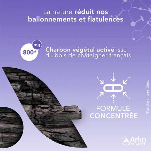 Arkogélules Charbon Végétal Activé Bio 40 gélules