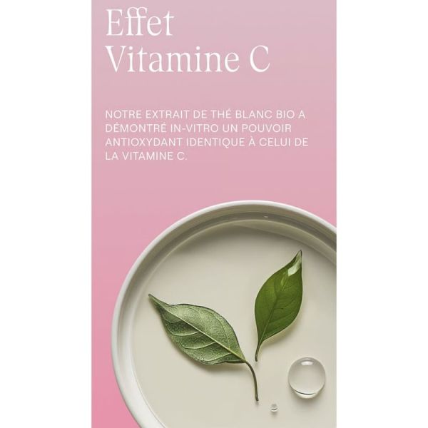 Weleda Fluide Lissant à la Rose Musquée et Thé Blanc Bio 40ml – Premières rides et éclat