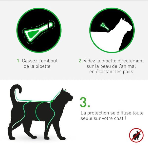 Frontline Combo Chats et Furets 3 Pipettes - Anti-puces, tiques et poux