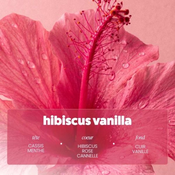 Paalm x Banana Moon Brume Hibiscus Vanilla 100 ml - Parfume délicatement peau et cheveux