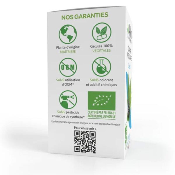Arkopharma Arkogélules Cassis Bio - 45 gélules - Mobilité et la souplesse articulaires