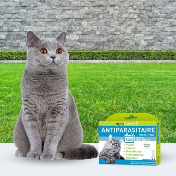 Vetoform Pipette antiparasitaire Insectifuge pour chat - 3 pipettes