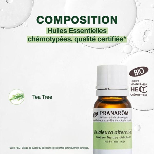 Pranarôm Huile Essentielle Tea-Tree Bio 10ml – Purifiant et antioxydant