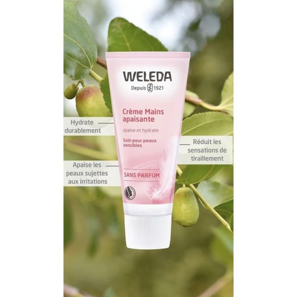 Weleda Crème Mains Apaisante 50ml – Confort et peaux sensibles