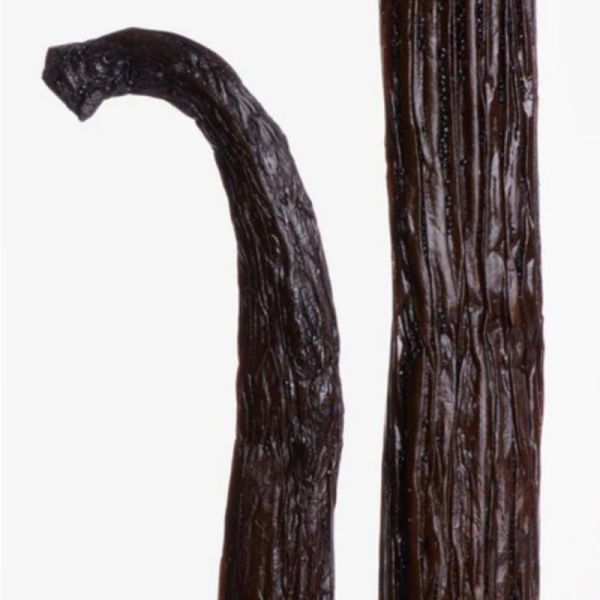 Respire Déodorant Stick Vanille Tonka 50g - Efficacité 48h naturelle et emballage zéro plastique