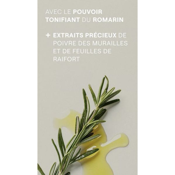 Weleda Lotion Capillaire Tonifiante Lot de 2 x 100ml – Nutrition et frisottis