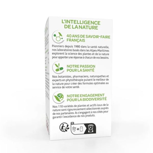 Arkopharma Arkogélules Ananas 45 gélules - Complément alimentaire