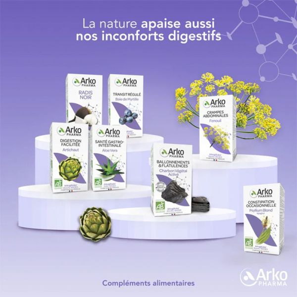 Arkogélules Charbon Végétal Activé Bio 40 gélules