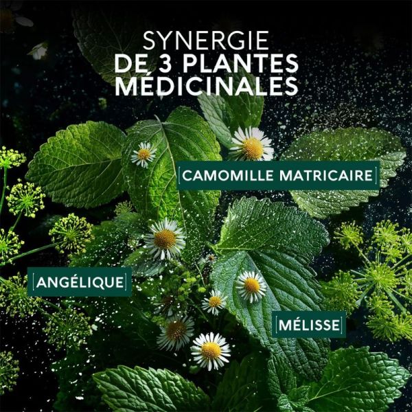 Naturactive Maux de Ventre Flash 10 gélules – Soulage les crampes intestinales