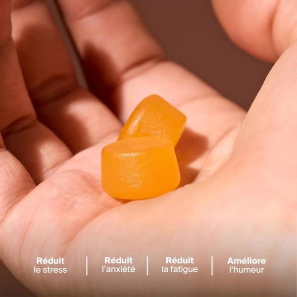 Naali Gummies Anti-Stress & Anxiété au Safran - 42 Gummies Mangue