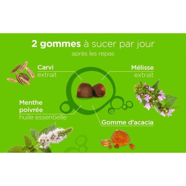 Lehning Pâte Suisse Digestion 40 gummies – Confort et ballonnements