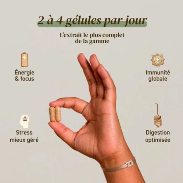 French Mush Complexe 5 Champignons 168 gélules - Immunité, digestion, concentration et vitalité