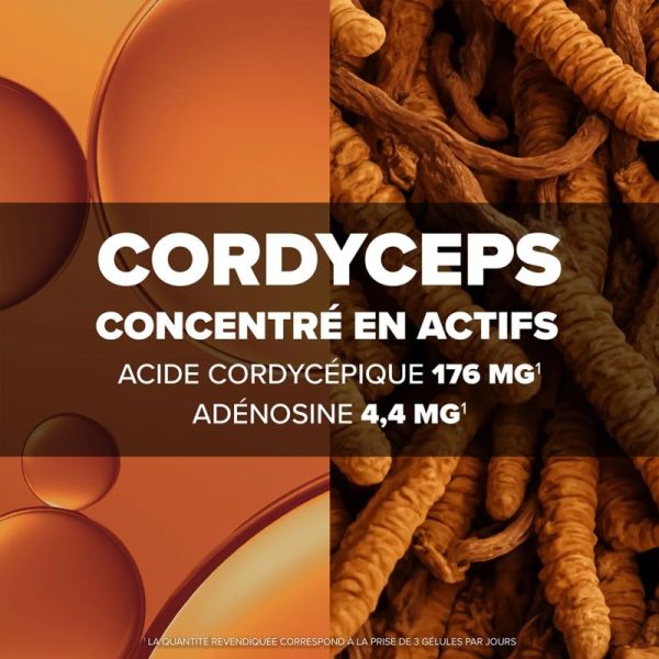 Arkopharma Arkogelules Cordyceps 60 Gélules – Vitalité, endurance et performances physiques