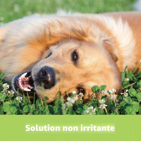 Elanco Surosolve Nettoyant Auriculaire Chien et Chat 125 ml – solution douce pour des oreilles propres et saines