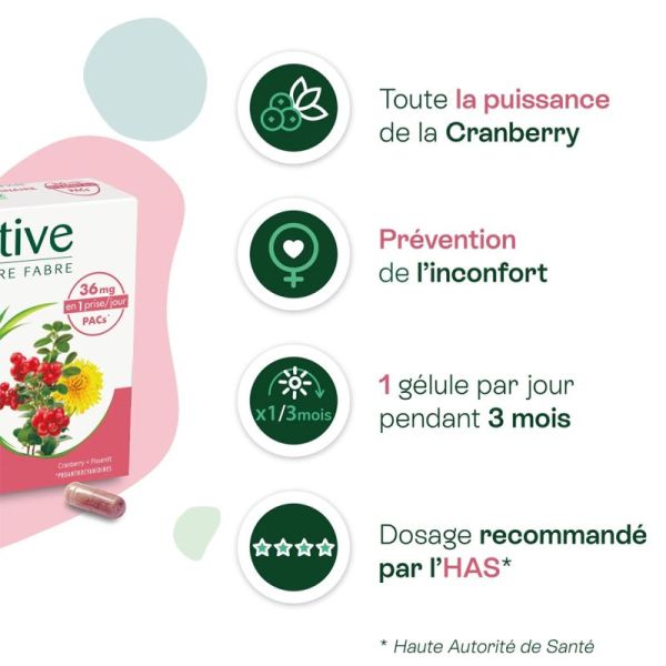 Naturactive Confort Urinaire Entretien Bio 2x30 Gélules – Cranberry et pissenlit